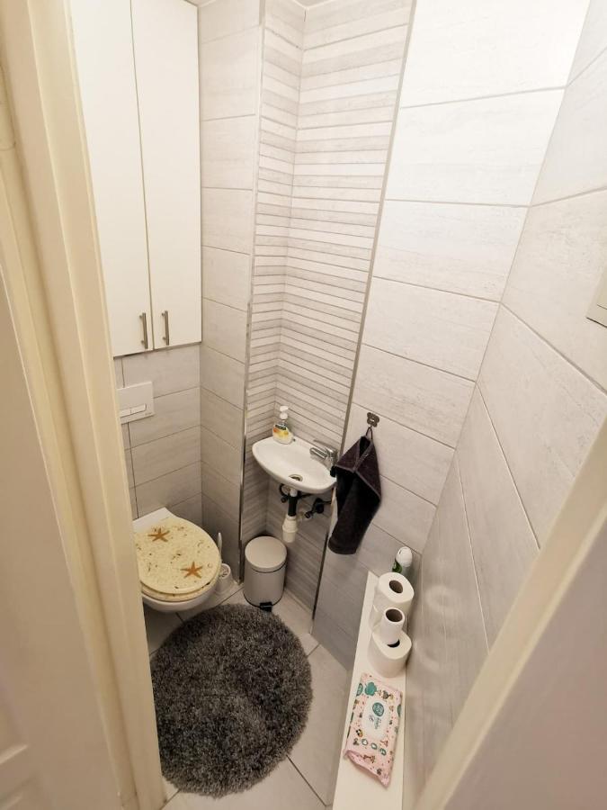 Bright, Spacious Apartment 3 Bedroom, Garage Budapest Luaran gambar